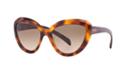 Prada Pr 08rs 57 Brown Cat Sunglasses
