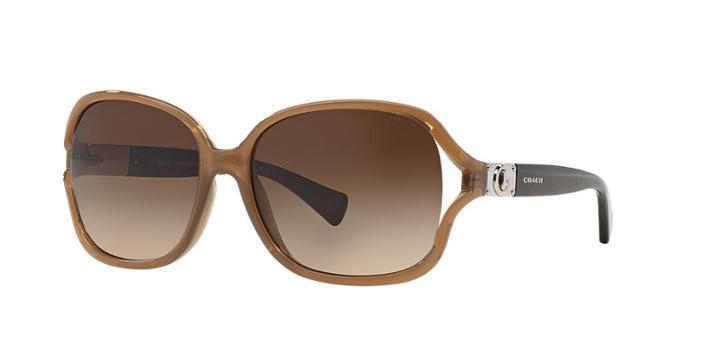 Coach Carroll Brown Square Sunglasses - Hc8121