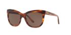 Ralph Lauren 54 Brown Square Sunglasses - Rl8158