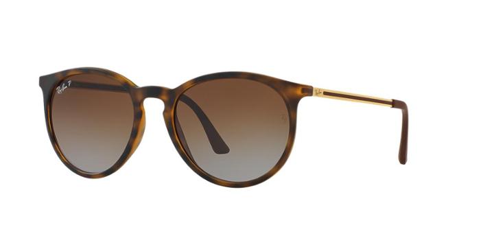 Ray-ban Tortoise Panthos Sunglasses - Rb4274