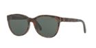 Polo Ralph Lauren 56 Brown Butterfly Sunglasses - Ph4117