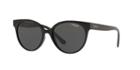 Vogue Vo5246s 53 Black Round Sunglasses
