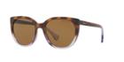 Ralph 55 Brown Square Sunglasses - Ra5249