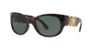 Versace Brown Square Sunglasses - Ve4265
