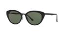 Ray-ban Black Matte Rectangle Sunglasses - Rb4250