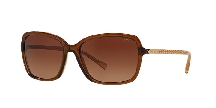 Coach Brown Square Sunglasses - Hc8152