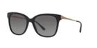 Giorgio Armani Ar8074f 54 Black Square Sunglasses