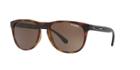 Arnette 56 Hardflip Tortoise Matte Wrap Sunglasses - An4245