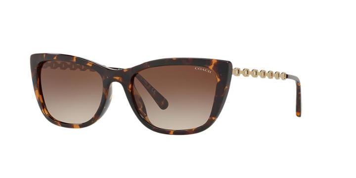 Coach Hc8257u 55 Tortoise Cat-eye Sunglasses