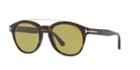 Tom Ford Newman 53 Brown Round Sunglasses - Ft0515