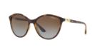 Vogue Vo5165s 55 Tortoise Cat-eye Sunglasses