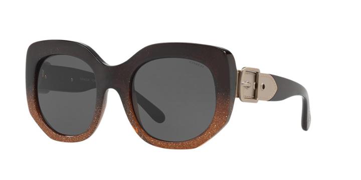 Coach 53 Black Square Sunglasses - Hc8228