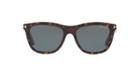 Tom Ford Andrew 54 Tortoise Square Sunglasses - Ft0500
