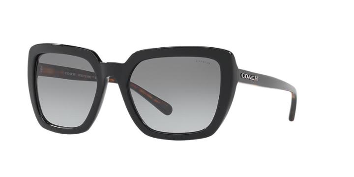 Coach 57 Black Square Sunglasses - Hc8217