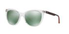 Armani Exchange Ax4072sf 55 Clear Cat-eye Sunglasses