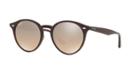 Ray-ban Rb2180f 51 Brown Panthos Sunglasses