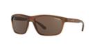 Arnette 61 Brown Rectangle Sunglasses - An4234