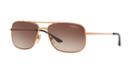 Sunglass Hut Collection Hu1004 59 Brown Square Sunglasses