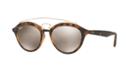 Ray-ban 53 Tortoise Matte Round Sunglasses - Rb4257
