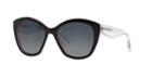 Dolce &amp; Gabbana Dg4220 55 Black Square Sunglasses