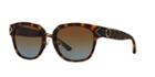 Tory Burch Tortoise Matte Square Sunglasses - Ty9041