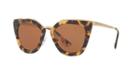 Prada Pr 53ss 52 Tortoise Cat-eye Sunglasses