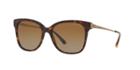 Giorgio Armani Tortoise Square Sunglasses - Ar8074