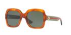 Gucci Gg0036s 54 Tortoise Rectangle Sunglasses