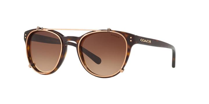 Coach 51 Tortoise Round Sunglasses - Hc8216