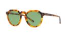 Polo Ralph Lauren 49 Brown Panthos Sunglasses - Ph4138