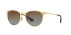 Ray-ban Gold Matte Round Sunglasses, Polarized - Rb3539