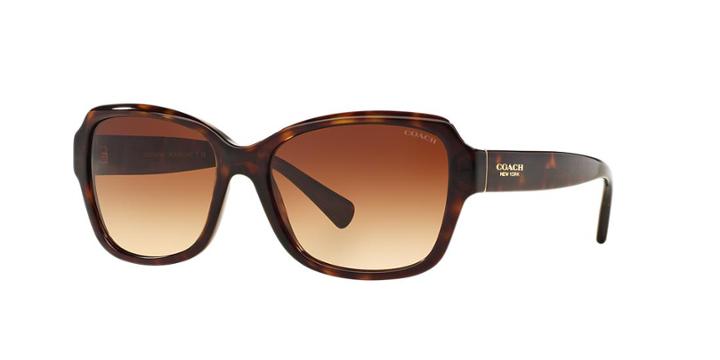 Coach Tortoise Butterfly Sunglasses - Hc8160