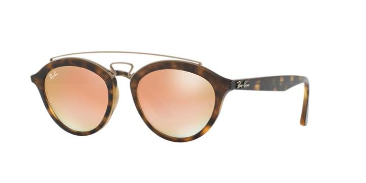 Ray-ban 53 Tortoise Matte Panthos Sunglasses - Rb4257