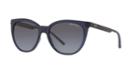 Armani Exchange Ax4072sf 55 Blue Cat-eye Sunglasses