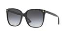 Gucci Gg0022s Black Cat-eye Sunglasses
