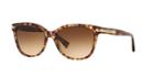 Coach 57 Brown Cat-eye Sunglasses - Hc8132