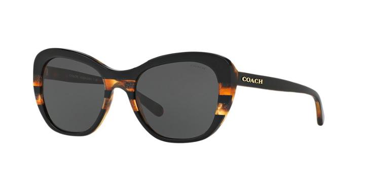 Coach 52 Black Cat-eye Sunglasses - Hc8204