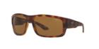 Arnette Grifter Brown Rectangle Sunglasses - An4221