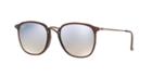 Ray-ban Rb2448nf 53 Asian Fitting Brown Square Sunglasses