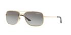 Sunglass Hut Collection Hu1004 59 Gold Square Sunglasses