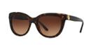 Tory Burch Tortoise Square Sunglasses - Ty7088