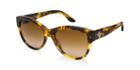 Ralph Lauren Rl8089 Tortoise Cat Sunglasses