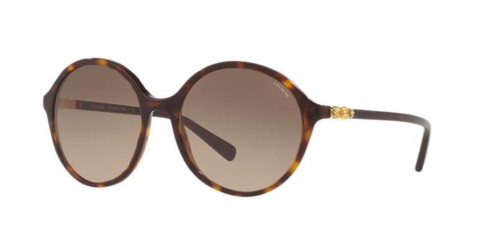 Coach Hc8188b 55 Tortoise Round Sunglasses