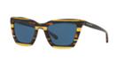 Coach 54 Blue Square Sunglasses - Hc8203