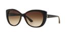 Bvlgari Brown Cat-eye Sunglasses - Bv8157bq