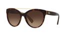 Dolce & Gabbana Tortoise Round Sunglasses - Dg4280