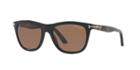 Tom Ford Andrew 54 Black Square Sunglasses - Ft0500