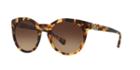Dolce &amp; Gabbana Dg4279f 55 Tortoise Round Sunglasses