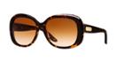 Ralph Lauren Brown Square Sunglasses - Rl8087
