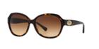 Coach Brown Square Sunglasses - Hc8150
